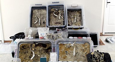 Bolu'da uyuşturucu etkili mantar ile el yapımı patlayıcı ele geçirildi