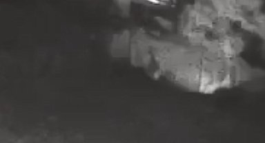 Bozcaada'da şüphelinin otluk alanı ateşe verdiği anlar kamerada