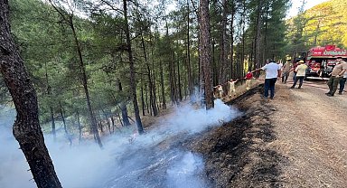 Bursa'da çıkan orman yangını söndürüldü