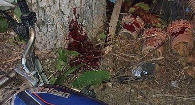 Bursa'da motosiklet ağaca çarptı: 1 ölü, 1 yaralı