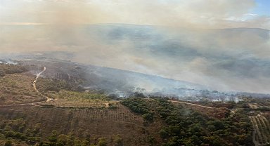 Bursa'da orman yangını 2'nci gününde