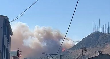 Bursa'da orman yangını