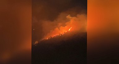 Bursa'da orman yangını