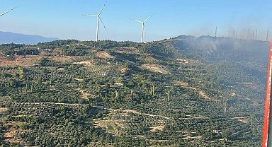 Bursa'da orman yangını