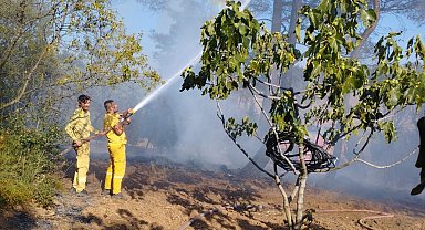 Bursa'da orman yangını