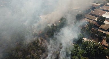 Bursa'da ot yangını