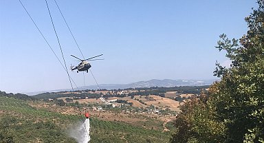 Bursa'da yeni orman yangını