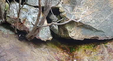 Çanakkale'de 1600 yıllık mağara kilisede 'defineci' tahribatı