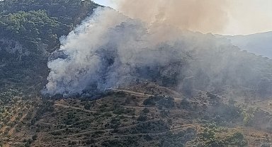 Çanakkale'de orman yangını