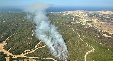 Çanakkale'de orman yangını