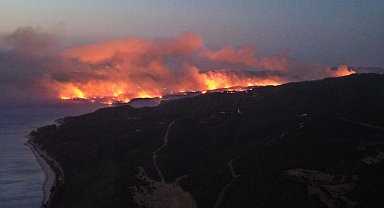 Çanakkale'de orman yangını