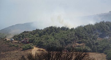 Çanakkale'de tarım arazisinde yangın; ormana sıçradı