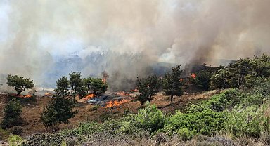 Çanakkale'de tarım arazisinde yangın