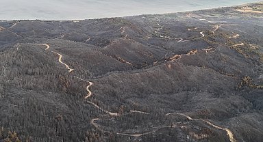 Çanakkale'deki orman yangını 2'nci gününde; yanan alanlar dron ile görüntülendi