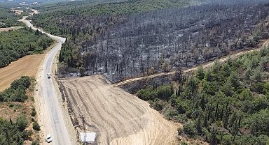 Çanakkale'deki orman yangını; başladığı alan dron ile görüntülendi