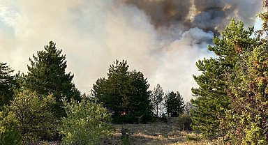 Çankırı'da orman yangını