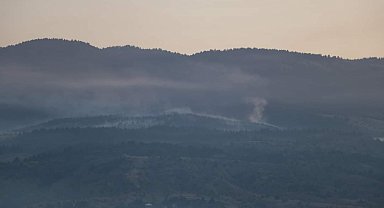 Çankırı'daki orman yangını kontrol altına alındı; 44 hektar alan zarar gördü