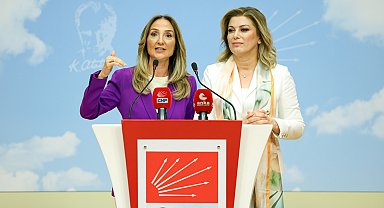 CHP Kadın Kolları Genel Başkanı Kaya, göreve başladı