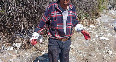 Çorum'da domuzun saldırdığı kişi yaralandı