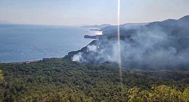 Datça'daki orman yangınında 1 gözaltı