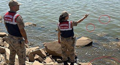 Devegeçidi Baraj'ında 'Asya sazanı' ölümü