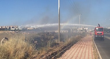 Diyarbakır'da 3 ayda çıkan 2 bin 413 yangında, 3 bin 893 hektar alan zarar gördü