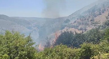 Diyarbakır'da ormanda örtü yangını