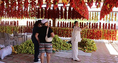 Dizilip asılmaya başlanan tescilli Kale biberlerine turist ilgisi