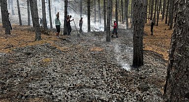 Düşen yıldırım nedeniyle çıkan orman yangını, büyümeden söndürüldü