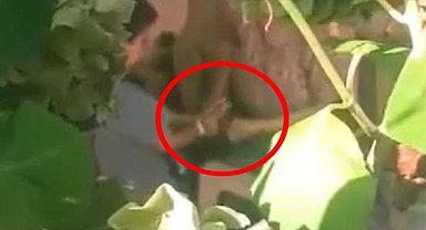 Düzce'de 6 yaşındaki çocuğa işkence; baba ve babaanne gözaltında