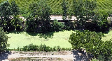 EDİRNE Tunca Nehri kurudu, yanındaki yolda 2 metrelik yarık ve çökme oldu