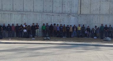 Edirne'de 66 kaçak göçmen yakalandı