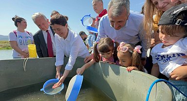 Edirne'de bu yıl 10 milyon yavru sazan üretilip, iç sulara bırakıldı