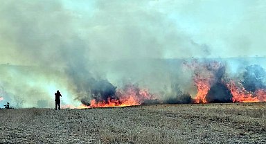 Edirne'de merada başlayan yangında 10 bin dönüm tarım alanı zarar gördü