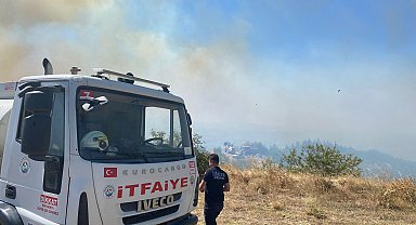 Edirne'de orman yangını