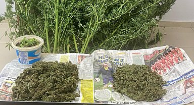 Edirne'de uyuşturucuya 2 tutuklama