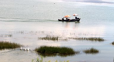 Eğirdir Gölü'nde bu kez sinek istilası