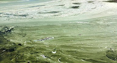 Eğirdir Gölü'nde müsilaj da başladı