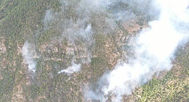 Evde çıkan yangın, ormana sıçradı; 35 dekar alan zarar gördü