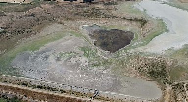 Göçmen kuşlara ev sahipliği yapan gölet kurudu, keçilerin otlağı oldu