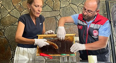 Hacettepeli bilim insanlarından Anzer balı sağımı