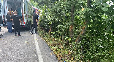 Hafif ticari araç ağaçlara çarptı; 3 yaralı