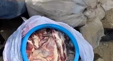 Hakkari'de dağ keçisi avlayan 3 kişiye 699 bin TL para cezası