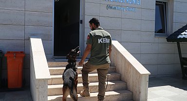 Hassas burunlara özel veterinerlik hizmeti