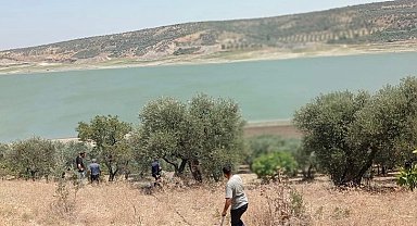 Hatay'da 2 hektar zeytinlik yandı