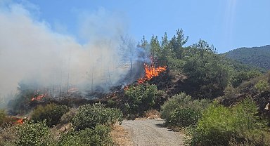 Hatay'da orman yangını