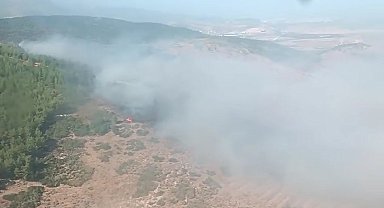 Hatay'da orman yangını