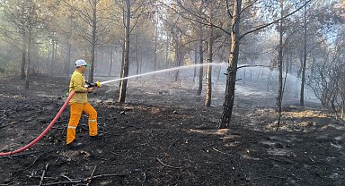 Hatay'daki orman yangını 15 saat sonra kontrol altında