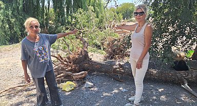 Hayvan barınağının yıkılmasına tepki