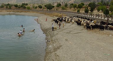 Hayvanlar gölette serinledi; besiciler ile çocukları onlarla ilgilendi